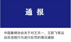 爱游戏体育下载:体育时评：红线不可越 人生无悔棋